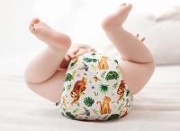 Blümchen Pocketwindel Klett Faultier - Windelposchi