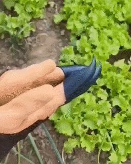 | Garten Pflanzenhandschuhe