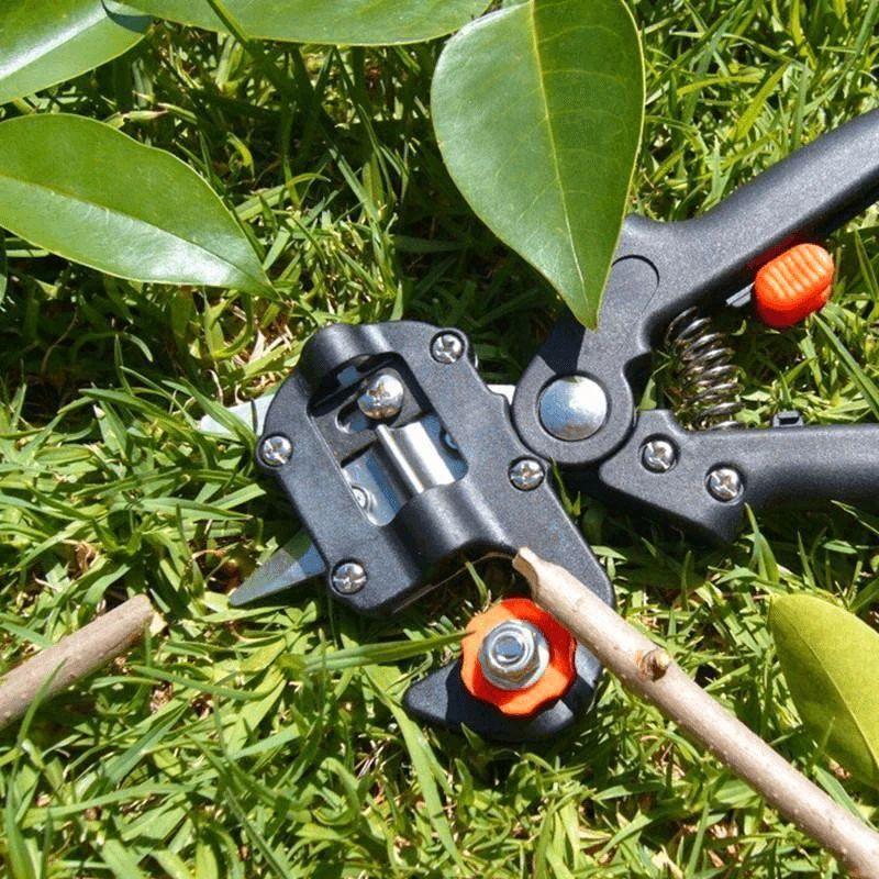 | Professionelles Gartenveredlungswerkzeug-Set