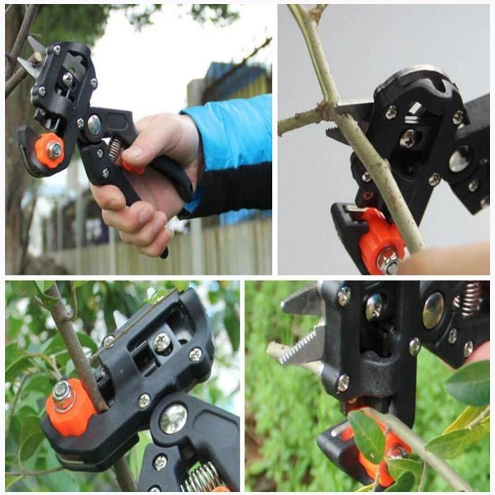 | Professionelles Gartenveredlungswerkzeug-Set