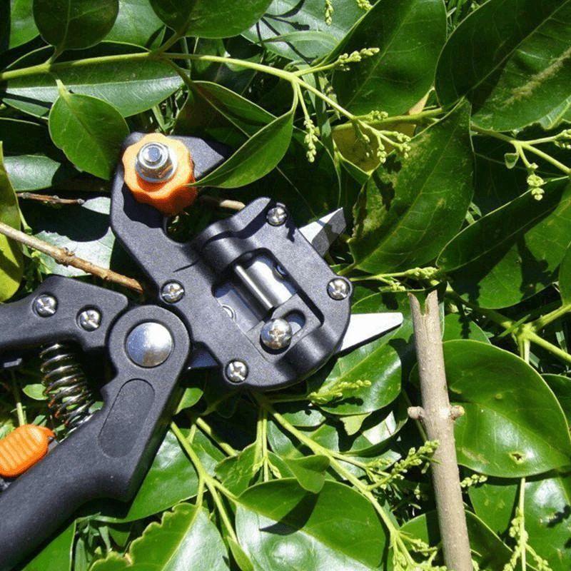 | Professionelles Gartenveredlungswerkzeug-Set