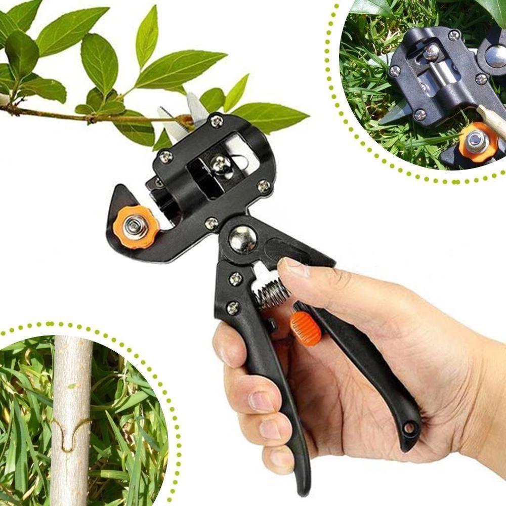 | Professionelles Gartenveredlungswerkzeug-Set