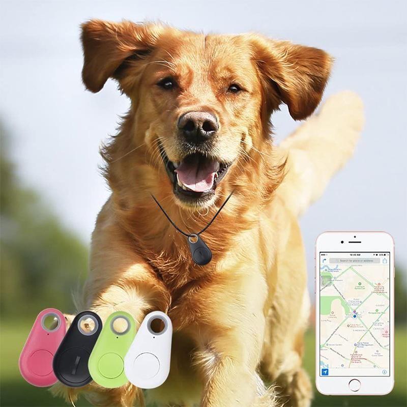 | Smart GPS-Tracker für Haustiere
