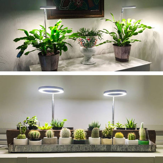 - Pflanzenlicht für Zuhause
