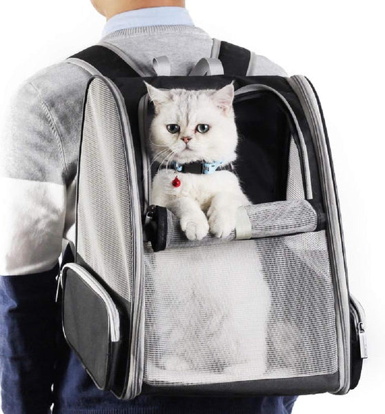 | Rucksackträger Katze