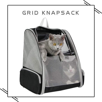 | Rucksackträger Katze