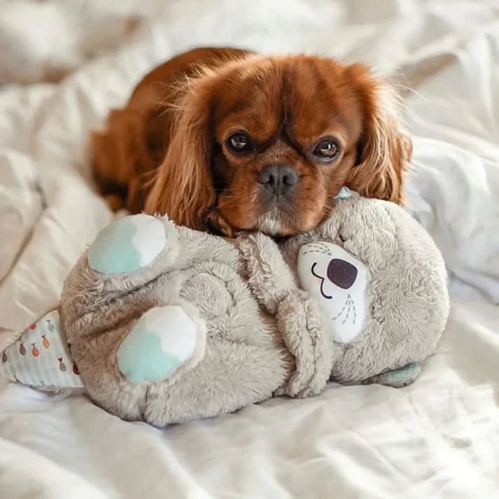 | Beruhigendes Kuscheltier für Welpen & Kätzchen