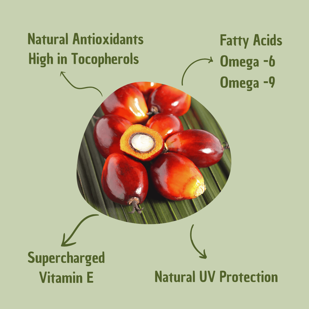 Batana Hair Oil – Pflegeöl für volleres, kräftiger aussehendes Haar mit Omega-Fettsäuren & Vitamin E