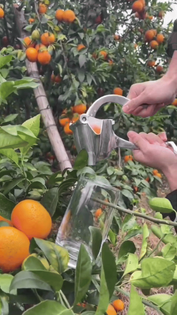 | Fruchtsaft Presse