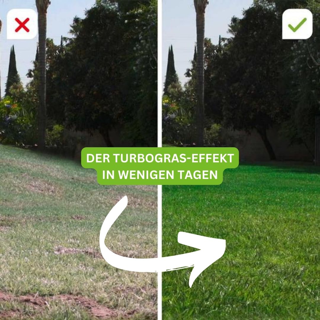 Turbogras - für gesunden und schnellwachsenden Rasen inkl