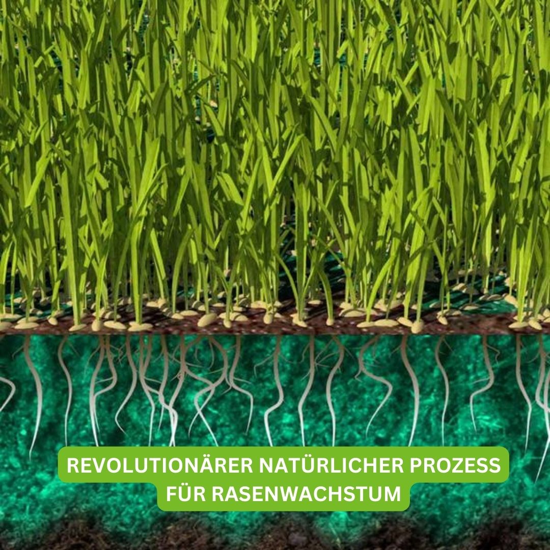 Turbogras - für gesunden und schnellwachsenden Rasen inkl