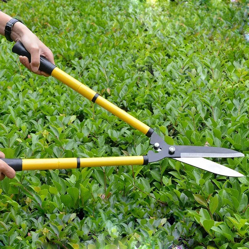 Langstiel-Gartenschere, robust, ergonomisch, Obst & Hecken