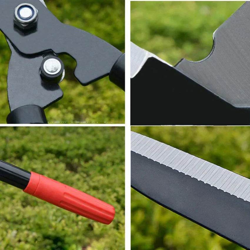 Langstiel-Gartenschere, robust, ergonomisch, Obst & Hecken