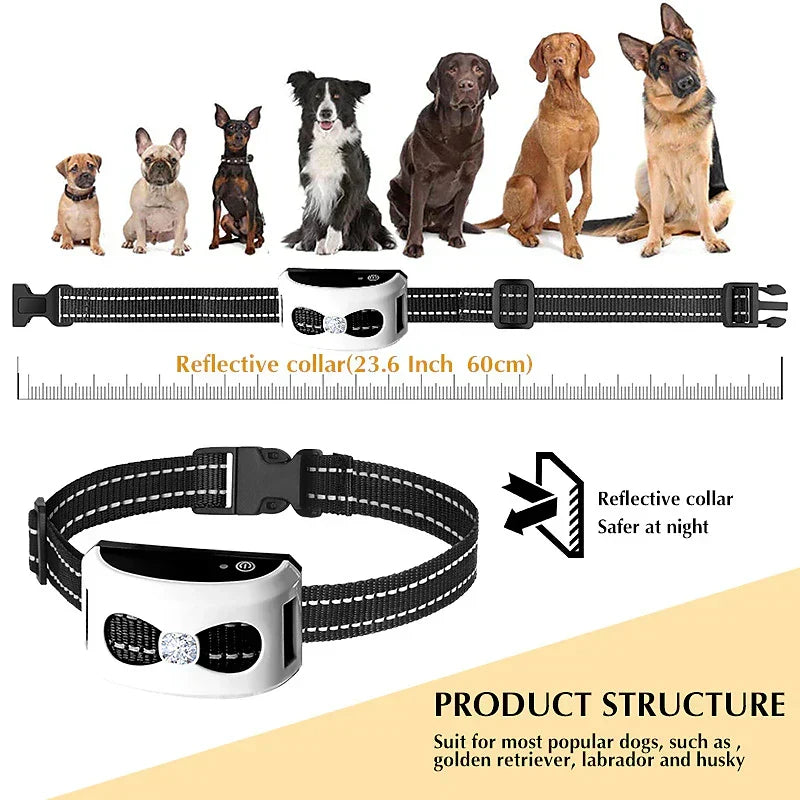 | 2-in-1 Kabellose Hundezwinger und Outdoor Trainingshalsband