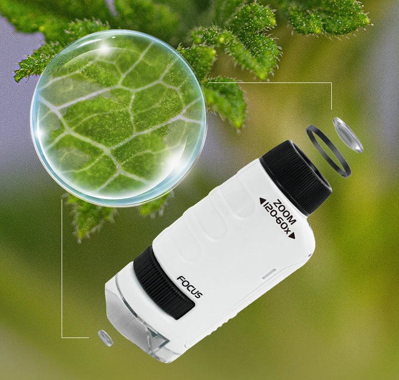 | Tragbares HD-Optisches Abenteuer-Mikroskop