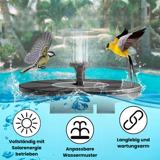Hochwertige Handgemachte Fontäne für Vögel
