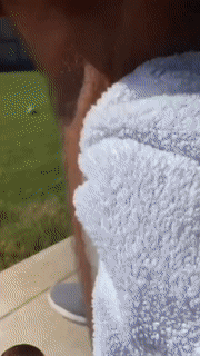 | Schaum-Haarentfernungspray