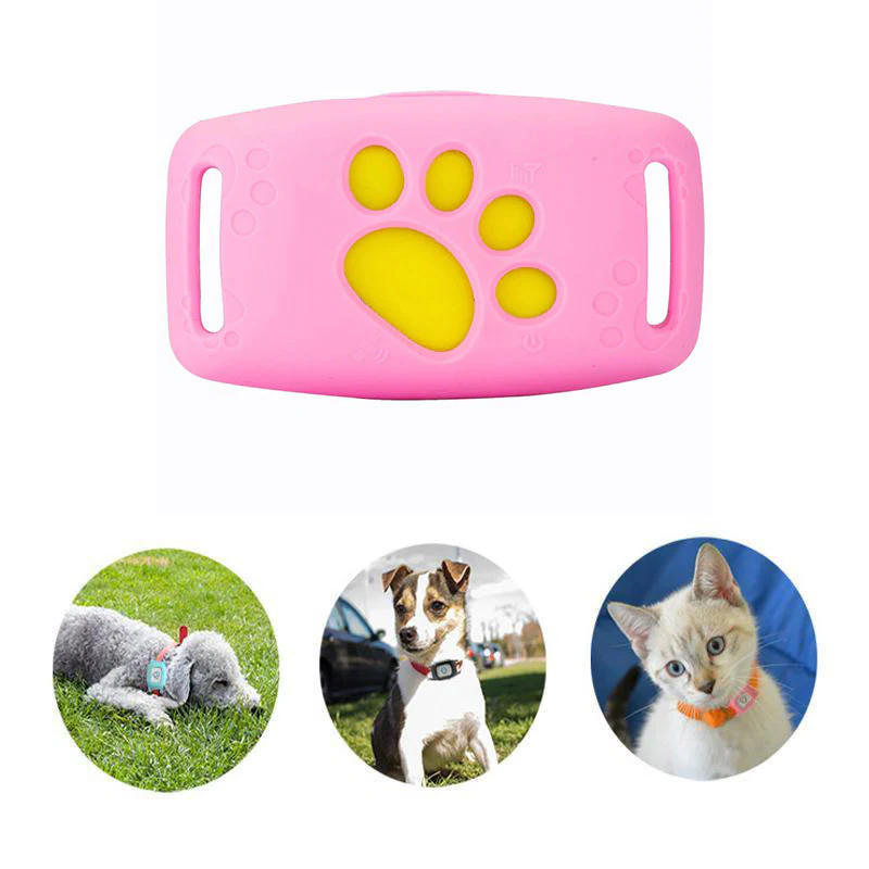 | Smart GPS Katzenhalsband mit Echtzeit-Tracking