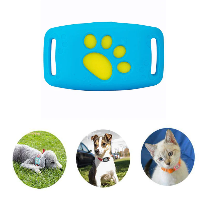 | Smart GPS Katzenhalsband mit Echtzeit-Tracking