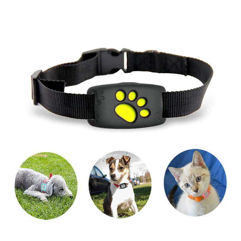 | Smart GPS Katzenhalsband mit Echtzeit-Tracking