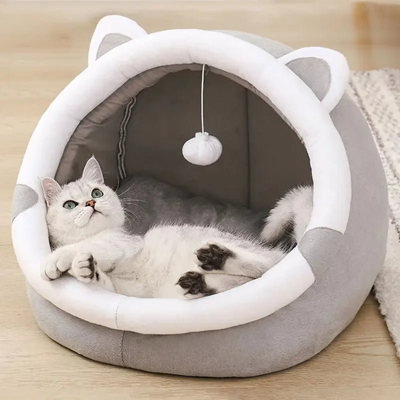 | PurrOasis – Das gemütliche Versteck für glückliche Katzen!